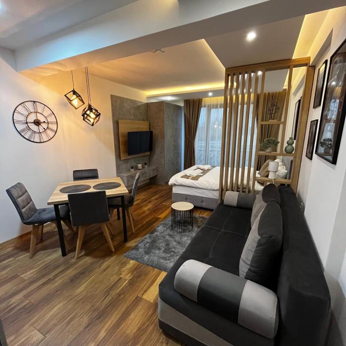 President Kop - Silver Ice Apartment