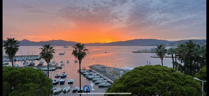 Palm croisette front de mer1