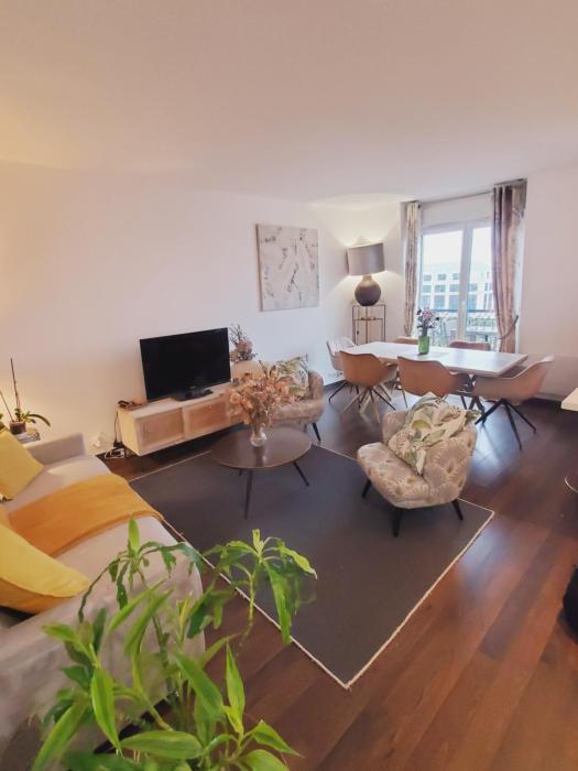 Luxury classique vintage Disneyland