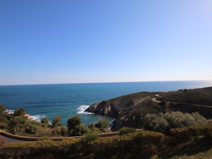 Banyuls-sur-Mer T2 avec terrasse et WIFI - FR-1-309-259