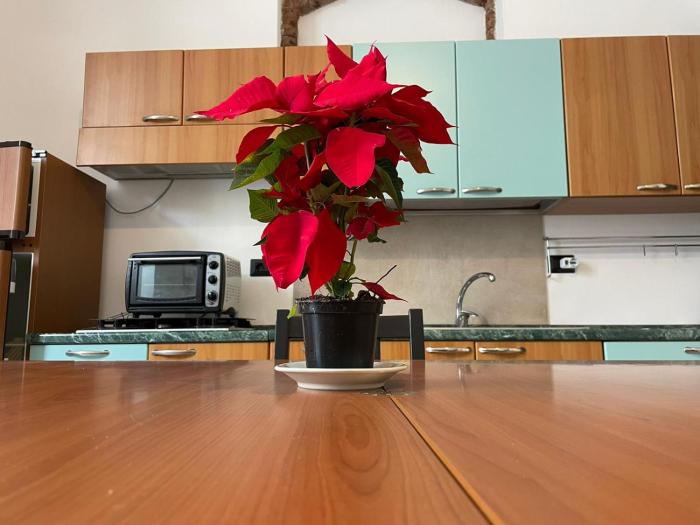 Catania centro storico camere