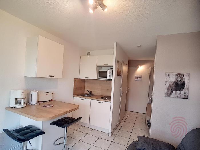 Studio rénové, proche centre-ville et thermes, avec jardin, WIFI, animaux acceptés - FR-1-451-62