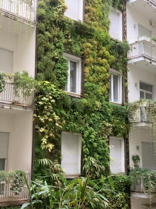 Fifty Eight Milan Duomo