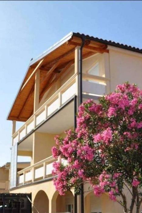 Apartments with parking space Vir - 20183