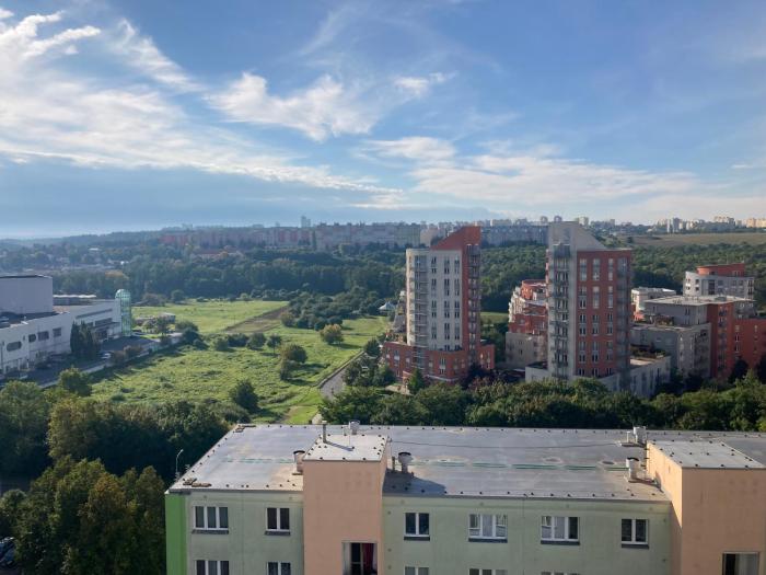 Private room in a shared park-side apartment with a great connection to the city center