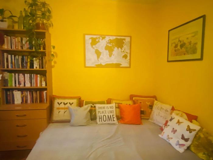 Funkcionalna garsonjera u Zemunu