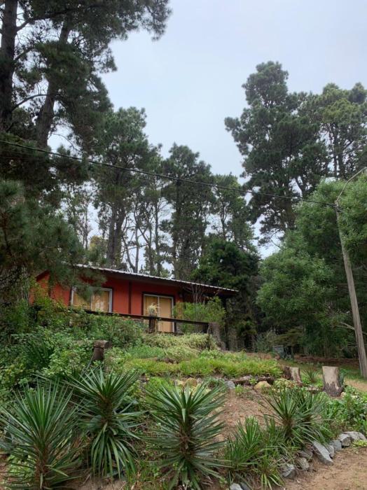 la casita del bosque