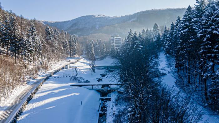 Kurort Kozubnik Daglezja - Apartamenty Dream Apart