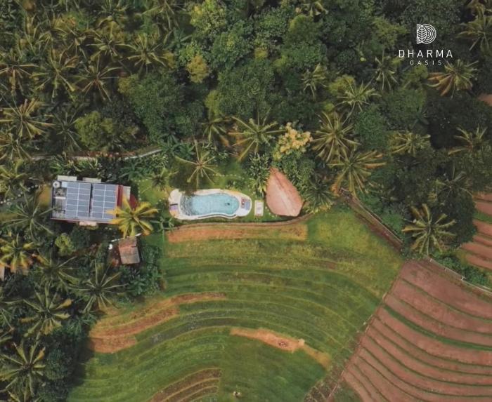 Dharma Oasis