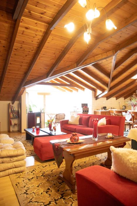 Soffitta House Sofi!