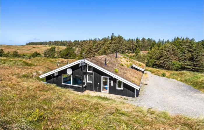 Awesome Home In Blokhus With Wifi