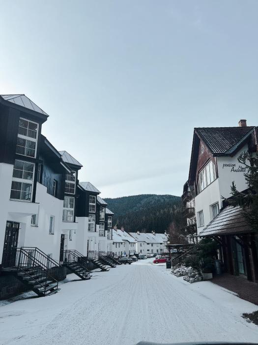 Apartment Na Skále CLOSE TO CITY CENTER & SKI LIFT