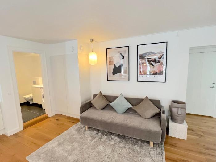 Amazing Apartment Near Tivoli Gardens & Copenhagen City Hall Square