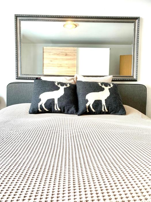 Holiday Apartment Gian - close to the Kongresshaus, the ice hockey stadium, cross-country skiing, the Eau-la-la indoor pool and wellness, large supermarket, 2 bus stops, with an indoor garage and fully equipped