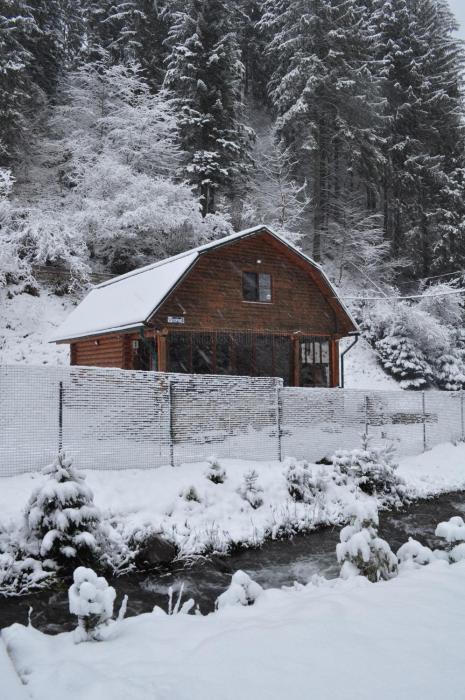 Гостьовий дім Секвойя