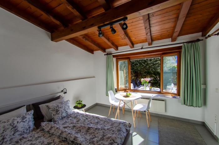 Rustico al Sole - Just renewed 1bedroom home in Ronco sopra Ascona