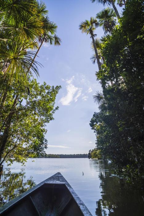 Cuyabeno Nature Eco Lodge