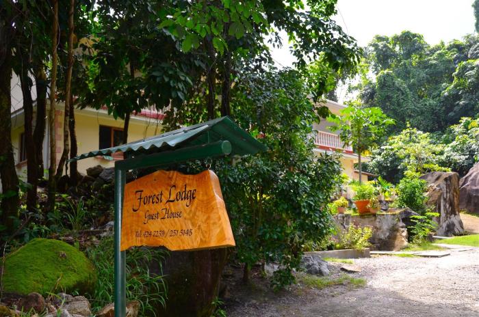 Forest Lodge