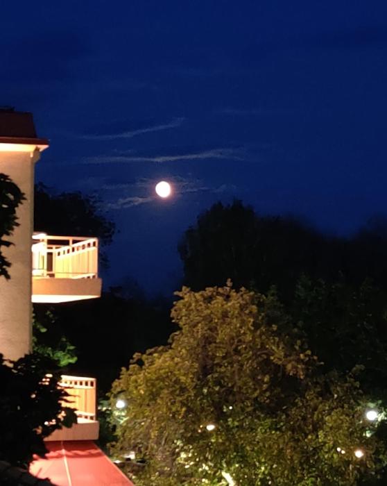 Parvekkeellinen huoneisto rantabulevardilla, 1-4 hengelle