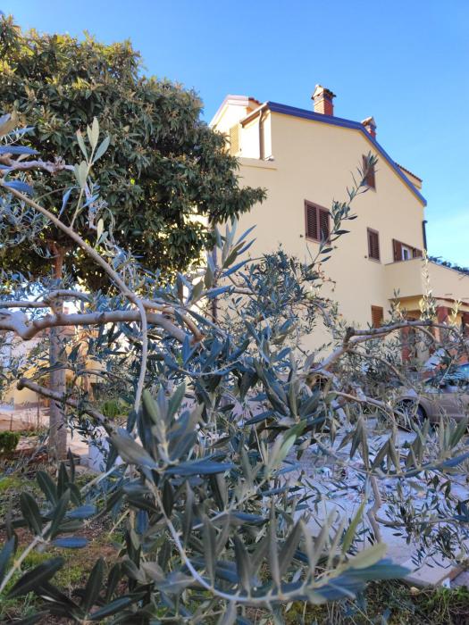 Apartment Olga Rovinj