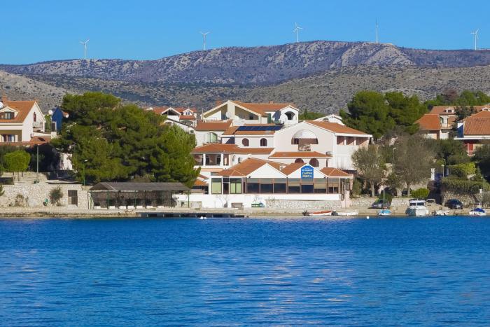 Pansion Zlatna ribica