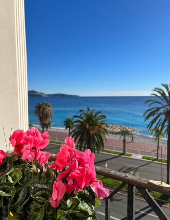 Luxury apartment with sea view on the first line Promenade des Anglais