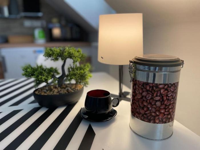 Francis Apartment - Lázeňské centrum