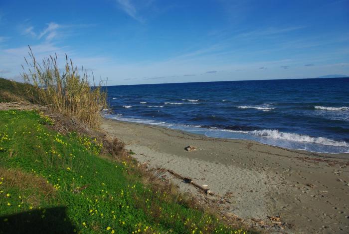 Résidence A NUCIOLA Les pieds dans leau Cervione Hte CORSE