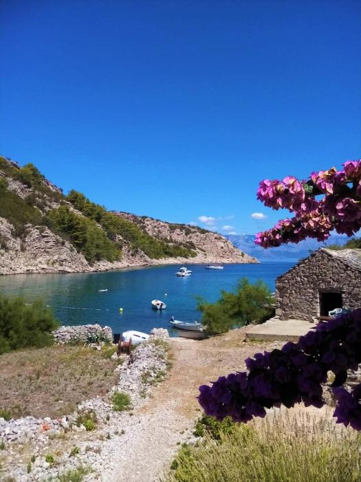 House Peacefull Relax