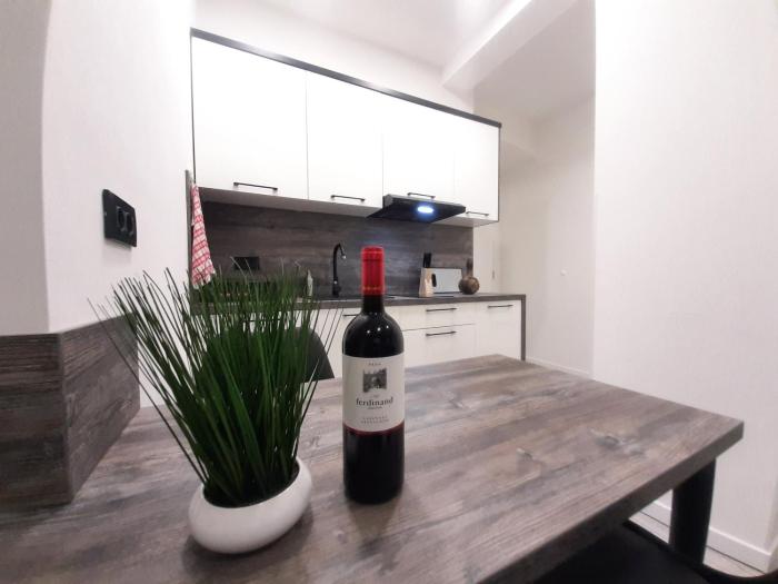 Apartments MiS-for you in city center