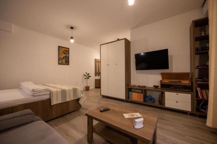 Central Place Apartment Timisoara 2