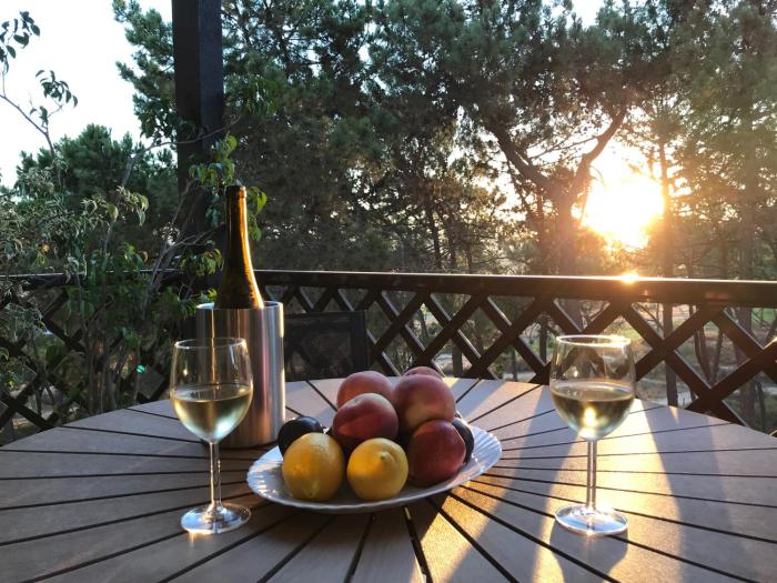 Excellent T2 apartment with pools 400m Falesia beach