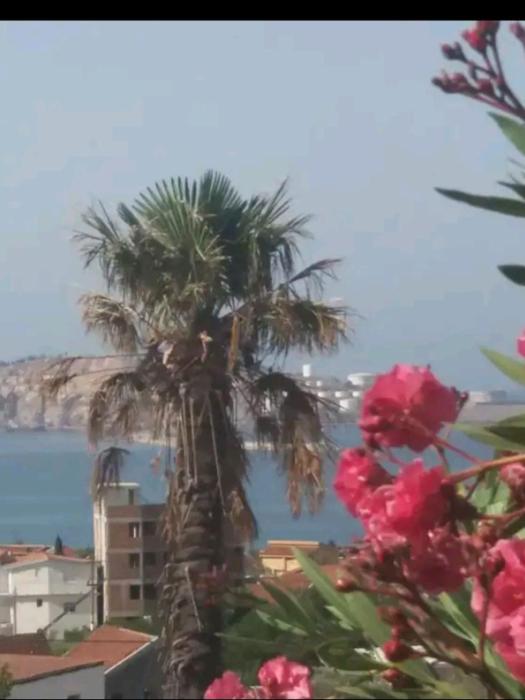 Apartman David - 65m² I Apartman Filip - 55m²