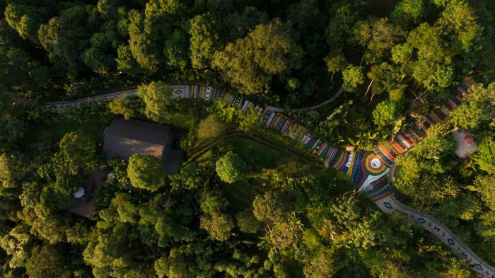 Papiu Resort