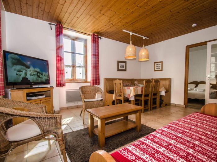 Charmant appartement 3* au cœur de Chamonix, animaux acceptés - FR-1-343-216