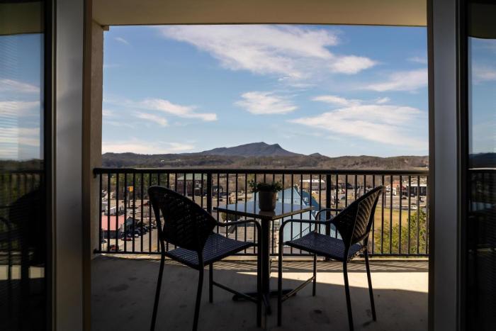 MVC - Unit 1505 - Bearly Available