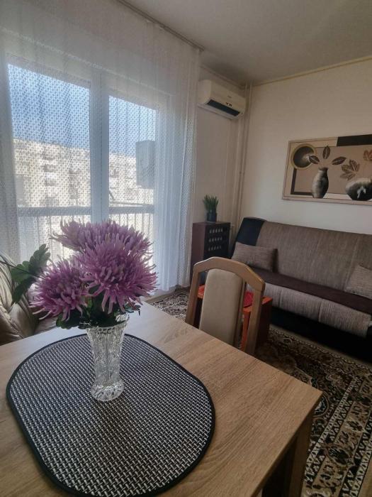 Apartment Dorcol Belgrade