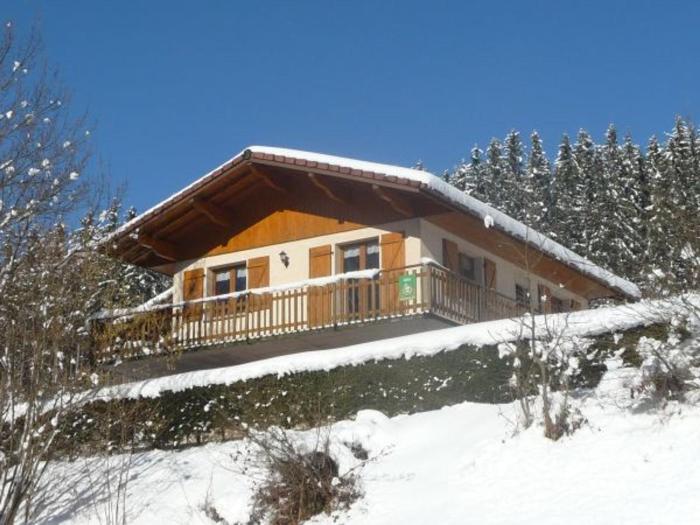 Chalet spacieux à Rochesson, près de Gérardmer, avec garage, cheminée, WIFI et équipements complets - FR-1-589-167