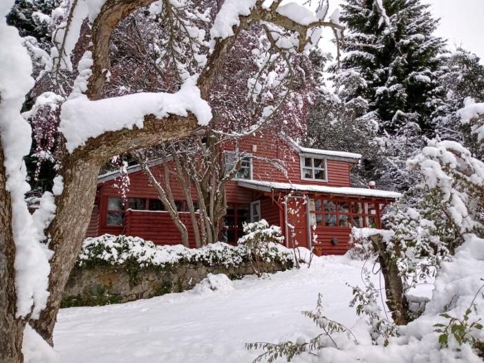 Cabaña atelier de arte