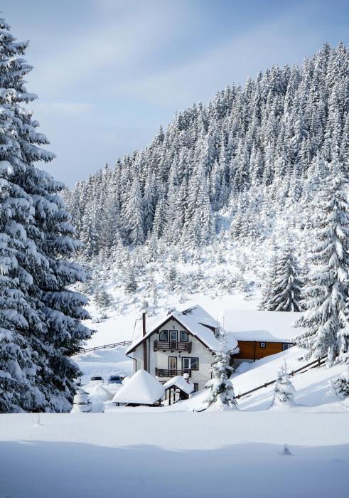 Pensiunea Poienita Ursului