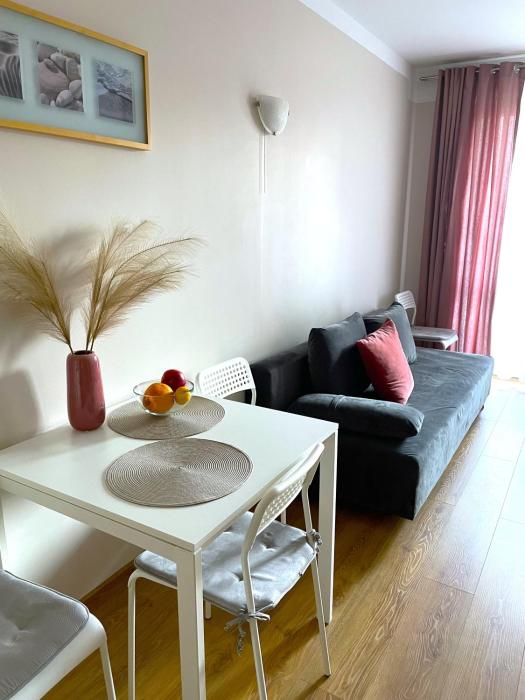 Apartament Agaciula