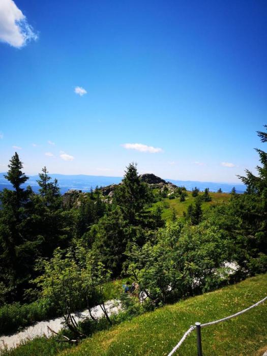 Idyllisch gelegene Ferienwohnung Xaver im Herzen des bayerischen Waldes