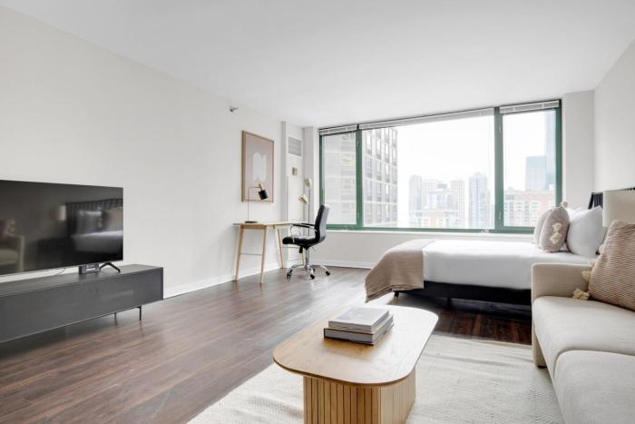 Streeterville Studio w Pool Dog Run nr Beach CHI-582