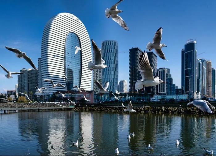 Alliance Palace Sea view Apartment