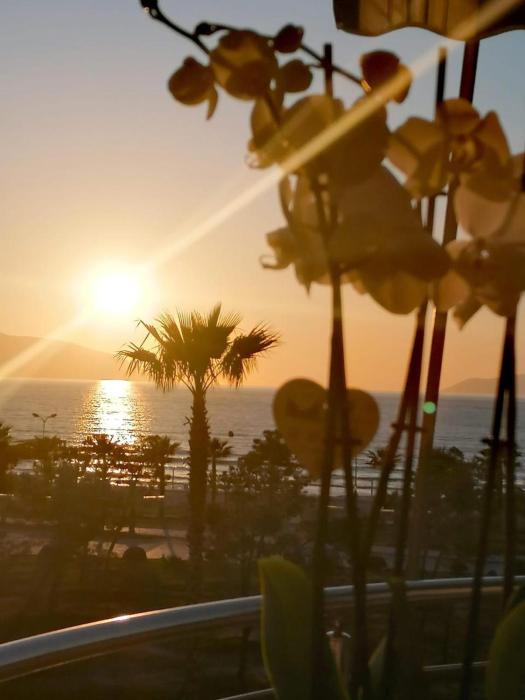 Vale House Holiday Apartment