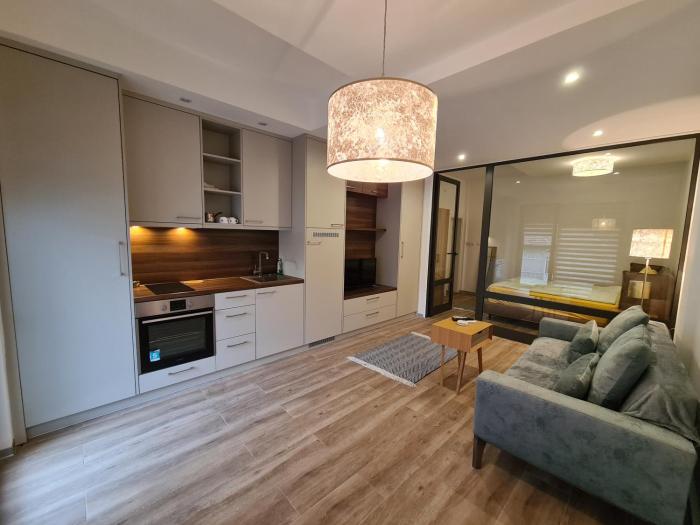 Apartmani Central 10 & free parking