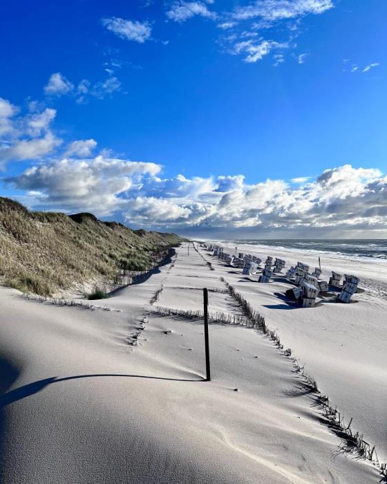 Appartements Friedrichsen