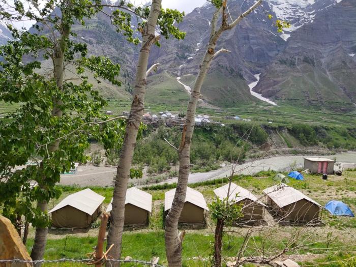 Chandra Bhaga camps