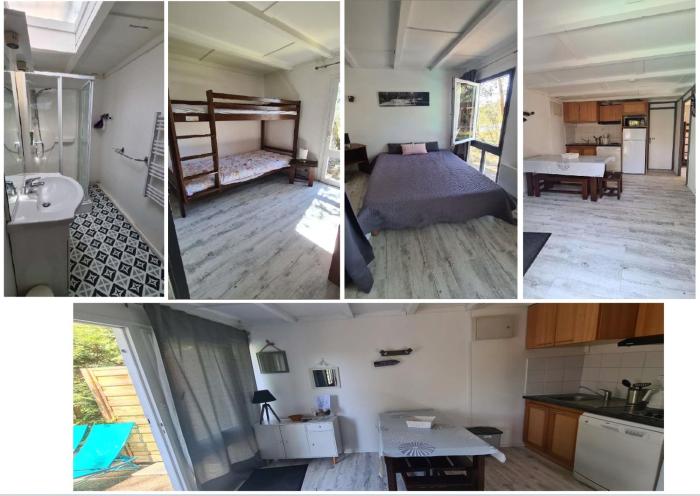 Les fougères A81 Les villages sous les pins LEON 40550