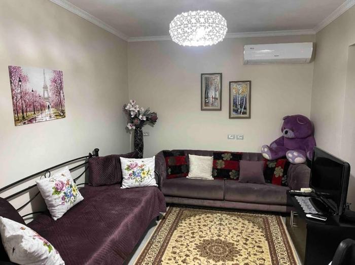 Warm apartment in the center of Tirana city